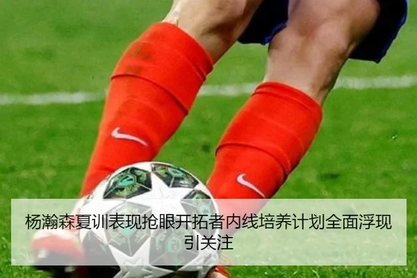 杨瀚森夏训表现抢眼开拓者内线培养计划全面浮现引关注