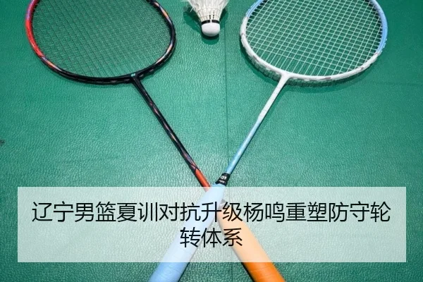 辽宁男篮夏训对抗升级杨鸣重塑防守轮转体系